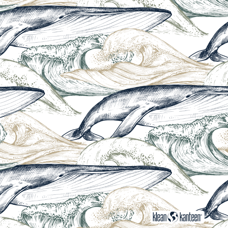 20oz-tkwide-with-twist-cap-ocean-day-y4 20oz_tkwide_bottle_seasonal_ocean_day_whale_artwork_square.png
