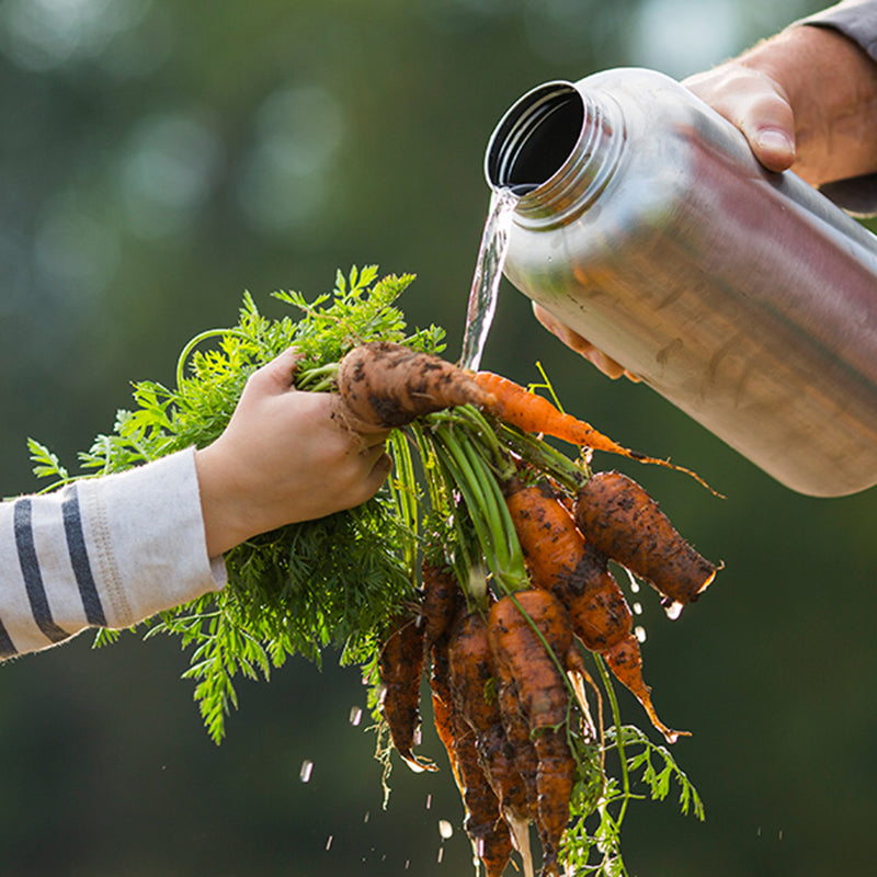 64oz-wide-with-loop-cap-l4 64oz_wide_mouth_bottle_carrots_rinse_square.jpg