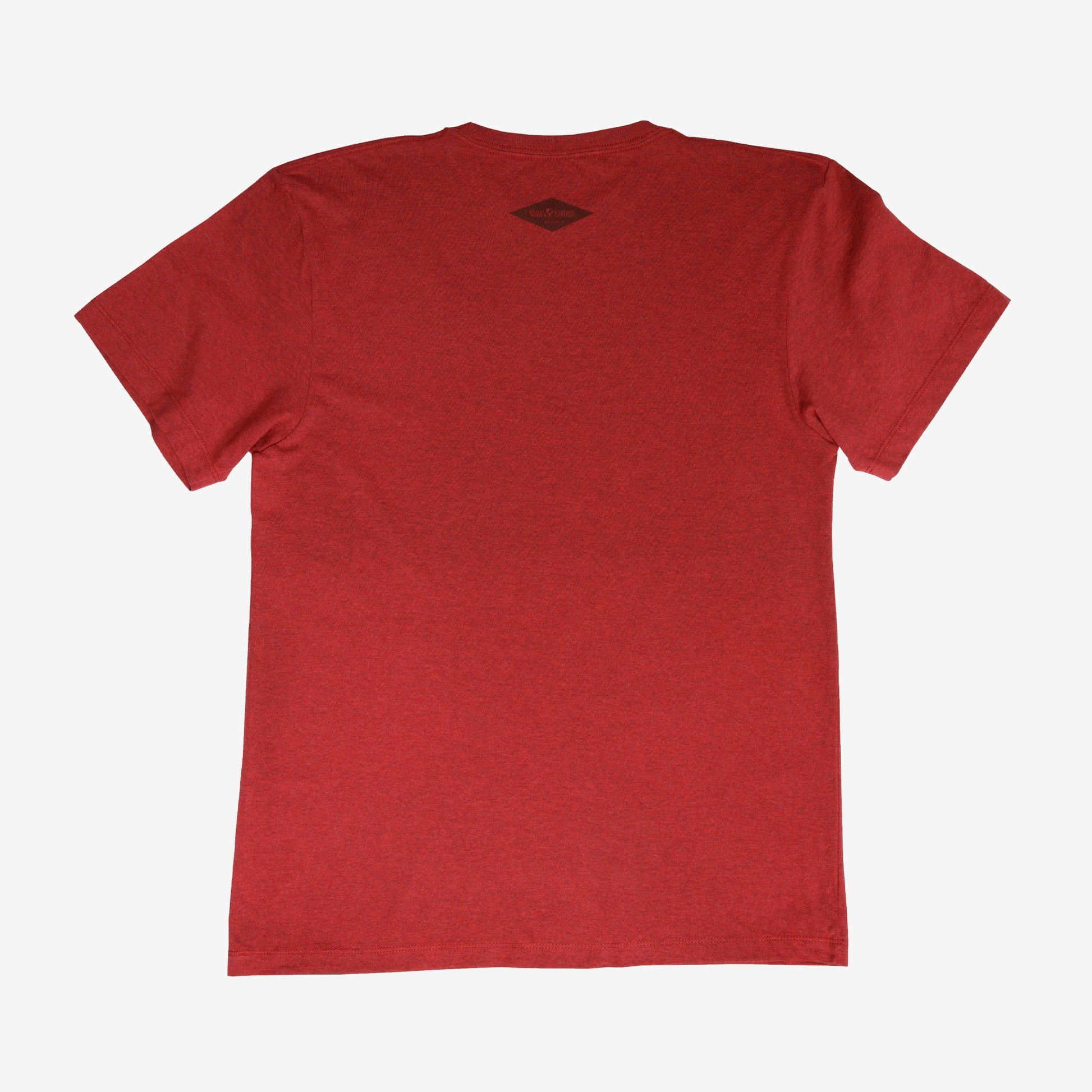 backyard-t-shirt-c3 Shirt_Mtn_Back.jpg